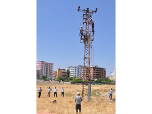 Dicle Elektrik’te İsg Denetimi Yapıldı