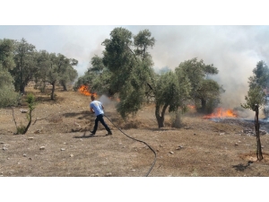 Büyükşehir’den Sigara İzmariti Uyarısı