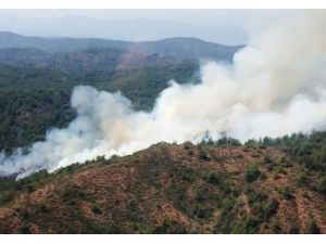Marmaris’te Orman Yangını
