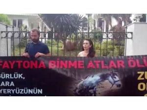 Büyükada’da 9 Atın Yandığı Ahırın Sahibi Hakim Karşısına Çıktı