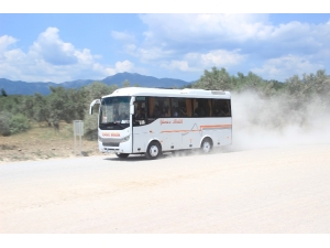 Yol İnşaatının Tozu Zeytinlikleri Tehdit Ediyor