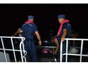 Uçak Tespit Etti, Botlar Yakaladı