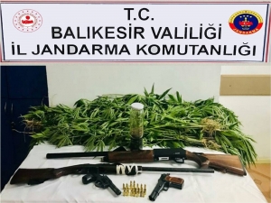 Jandarmadan Uyuşturucu Operasyonu