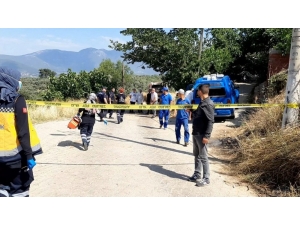 İzmir’de Konteynerde Bebek Cesedi Bulundu