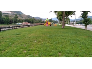 Başkan Şahin, Çocukların İsteğini Yerine Getirdi