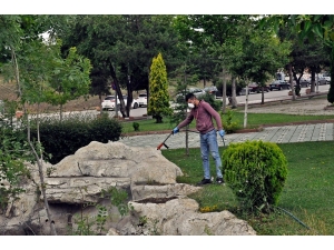 Söğüt’te İlaçlama Çalışmaları Devam Ediyor