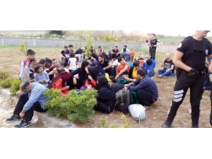 Şoför Kaçtı 66’sı Doğada Bu Halde Bulundu