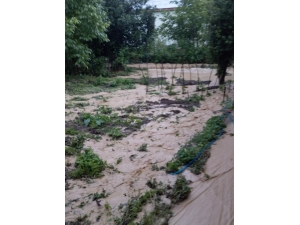 Sağanak Kısa Sürede Sele Dönüştü