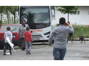 Polis İle Köpek Hırsızları Arasında Kovalamaca