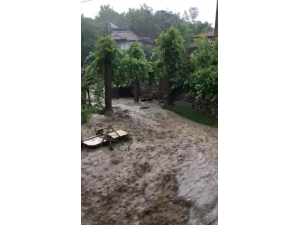 Kocaeli’ndeki Sel Hasara Neden Oldu