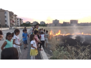 Diyarbakırlı Çocuklardan Büyüklere Örnek Olacak Davranış
