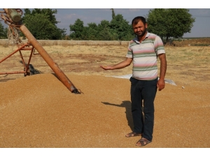 30 Ton Buğday Yüklü Tırla Kayıplara Karıştı