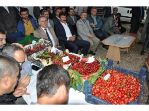 Kiraz, Vişne Ve Ceviz Festivali