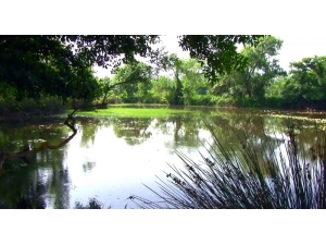 Karacabey Longozundan Mangal Sefası Yasak