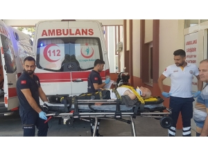 Antalya’da Erik Ağacından Düşen Yaşlı Şahıs Yaralandı