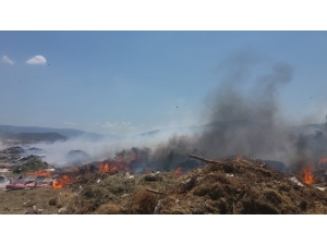 Çöplük Yangınını İtfaiye Söndürdü