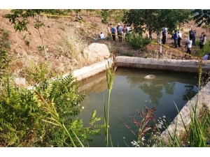 Kayıp 6 Yaşındaki Çocuk Sulama Havuzunda Ölü Bulundu