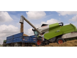 Kocaelili 10 Bin Çiftçiye, Ücretsiz Danışmanlık Ve Veterinerlik Hizmeti