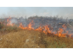 Antalya’da Cezaevi İnşaatı Yakınında 3 Buçuk Dönüm Arazi Yandı