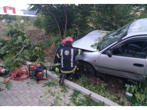 Refüje Uçan Otomobil Ağaçları Yerinden Söktü: 1 Yaralı