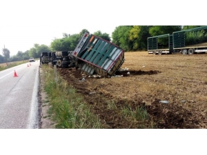 Osmaniye’de Tır Devrildi: 4 Bin Tavuk Telef Oldu