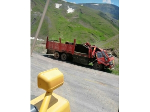 Büyükbaş Hayvan Yüklü Kamyon Takla Attı, 5 İnek Telef Oldu