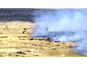 Devasa Yangını Elbiseleri İle Söndürmeye Çalıştılar