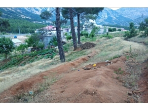 Evinin Bahçesinde Oynayan Çocuğu Akrep Soktu