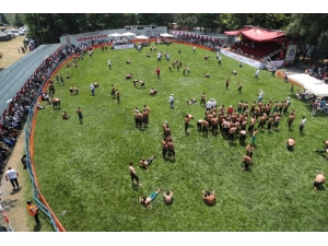 Hünkar Çayırı’nda Pehlivanlar Geçidi