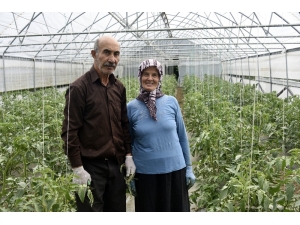 Gümüşhane’nin Çukurovası: İnkılap Köyü