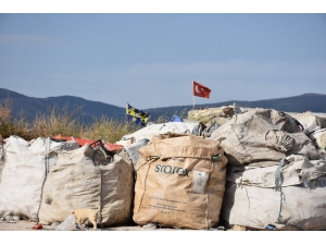 Çöp Toplayan Muzaffer, Son 20 Lirasını Fenerbahçe’ye Gönderdi
