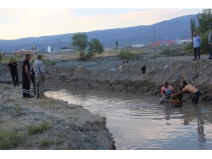 Nehir Yatağına Düşen Atı İtfaiye Ekipleri Kurtardı