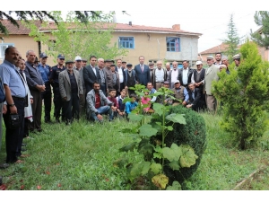 ’’Tarım Ve Hayvancılığın Desteklenmesi Programı, Köyden Kente Göçü Önler"