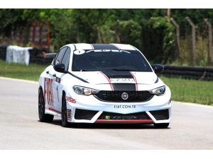 Tosfed Yıldızını Arıyor