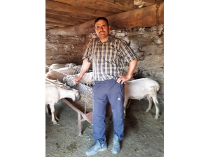 Koyun Yıkamaya Giden Abi Kardeş Boğularak Hayatını Kaybetti