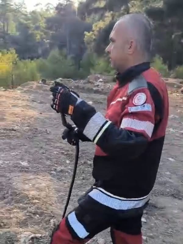 hatay-da-yerlesim-yerlerinde-gorulen-yilanlar-dogal-yasam-alanina-birakildi