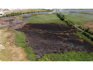 Başakşehir’de Tem Kenarında Bulunan Sazlık Alanda Yangın Çıktı