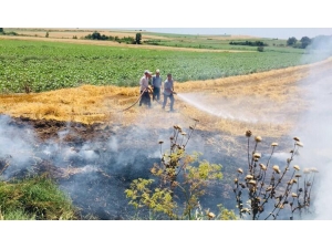 Hayrabolu’da 25 Dönümlük Ekili Alan Kül Oldu