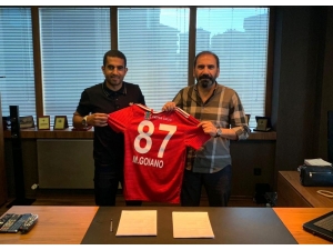 Marcelo Goiano, Demir Grup Sivasspor’da