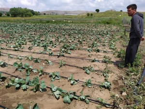 Sel Sonrası Yaralar Sarılıyor