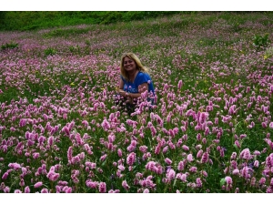 Karadeniz Yaylalarında ’Püsküllü’ Güzellik