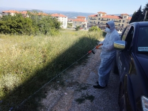Bilecik Belediyesi’nden ’Sarıkız Örümceği’ İçin İlaçlama