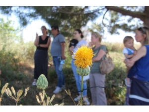 Kuşadası Tüllüşahı Koruma Eylem Planı Toplantısı Yapıldı
