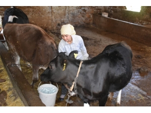 Aydınlı Çilem’in Şampiyonluğa Giden Öyküsü
