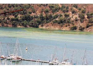 Fethiye Körfezi’nde Sarı Ve Yeşil Alarm