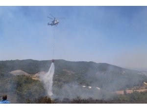 Antalya’da Orman Yangını