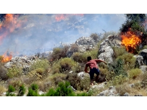 Balıkesir’de Korkutan Orman Yangını