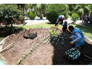 Haliliye Belediyesi İlçeyi Çiçeklerle Süslüyor