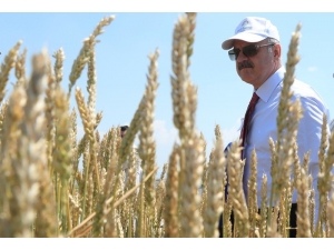 Tarımsal Alanda Geliştirilen Ürün Seçenekleri Çiftçilere Anlatıldı