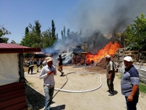 İnek, Koyun Ve Tavuklar Yanarak Telef Oldu